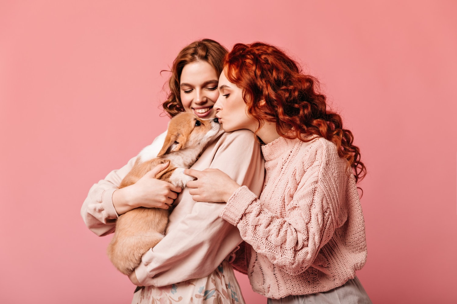 How Do Pet Insurance Trends Reflect Changes in Australian Pet Ownership?