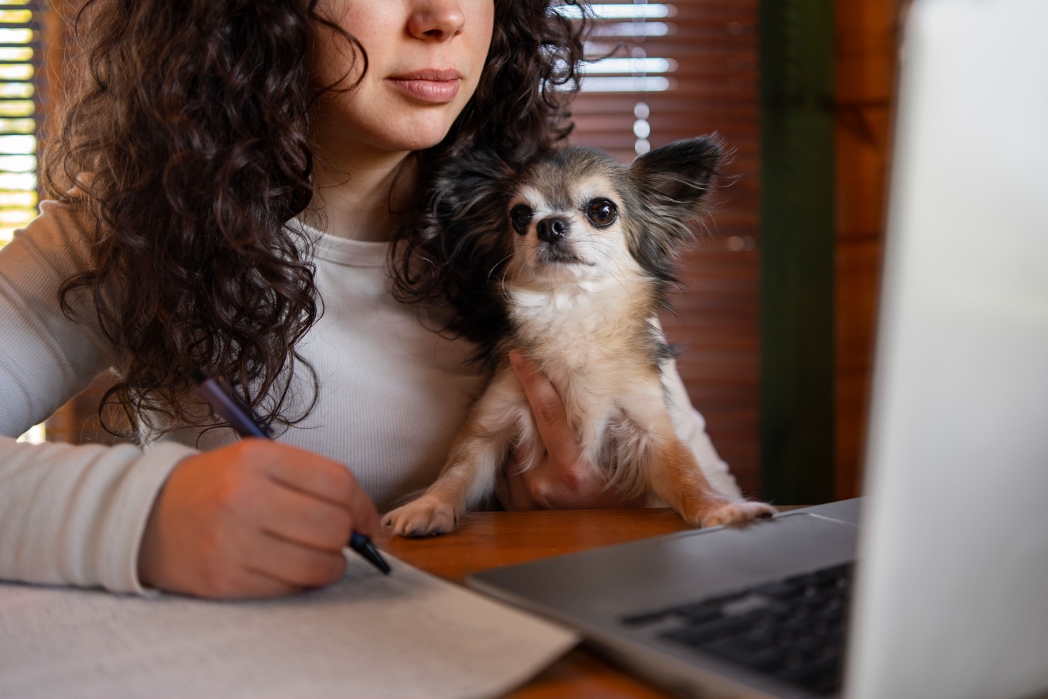 5 Best Pet Insurance Providers in Australia